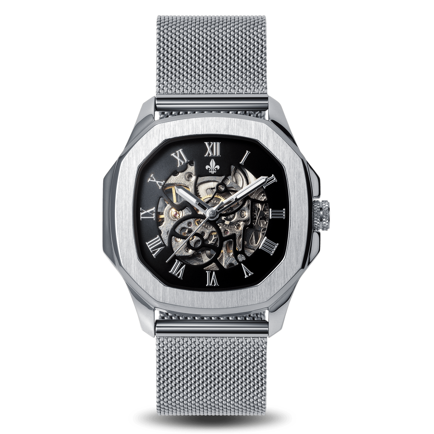 The Avalon Automatic Watch + Mesh Strap